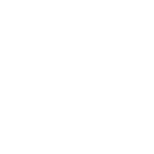 Cyberwerx_white-01